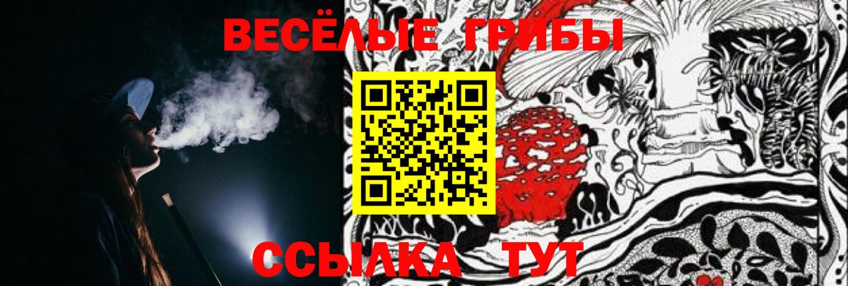 Галлюциногенные грибы GOLDEN TEACHER Кирово-Чепецк