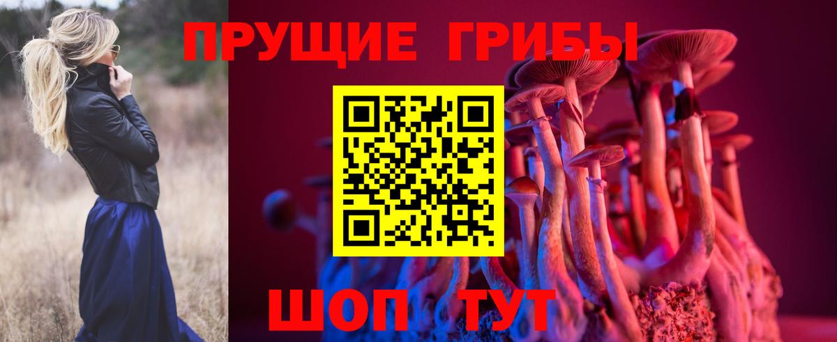 Псилоцибиновые грибы Psilocybine cubensis  Галлюциногенные грибы мицелий  Кирово-Чепецк  Вход с VPN 